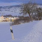 Wicky-Emily schaut sich die Winterlandschaft an (Wicky-Emily está mirando el paisaje invernal)