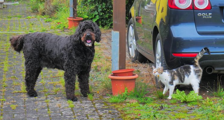 Wicky-Emily und Alexa