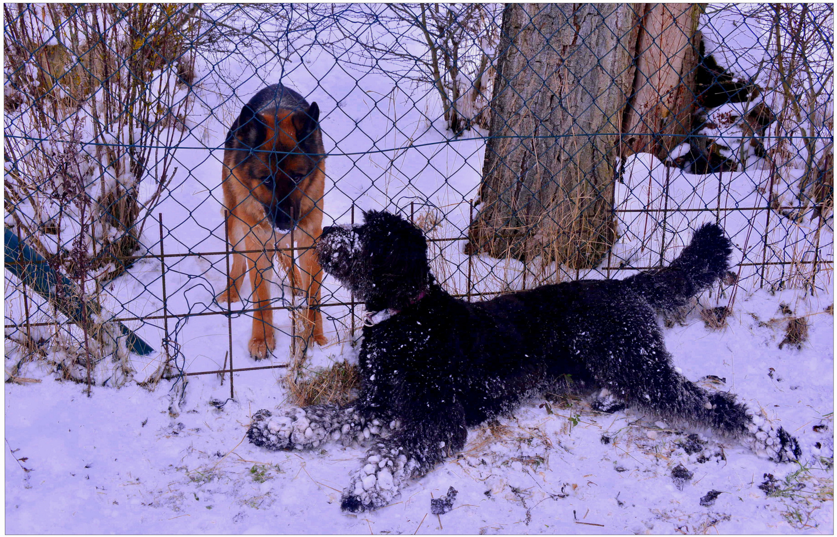 Wicky-Emily zu Besuch beim Nachbarn (Wicky-Emily está de visita en casa del vecino)