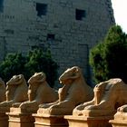 Widdersphingen Karnak