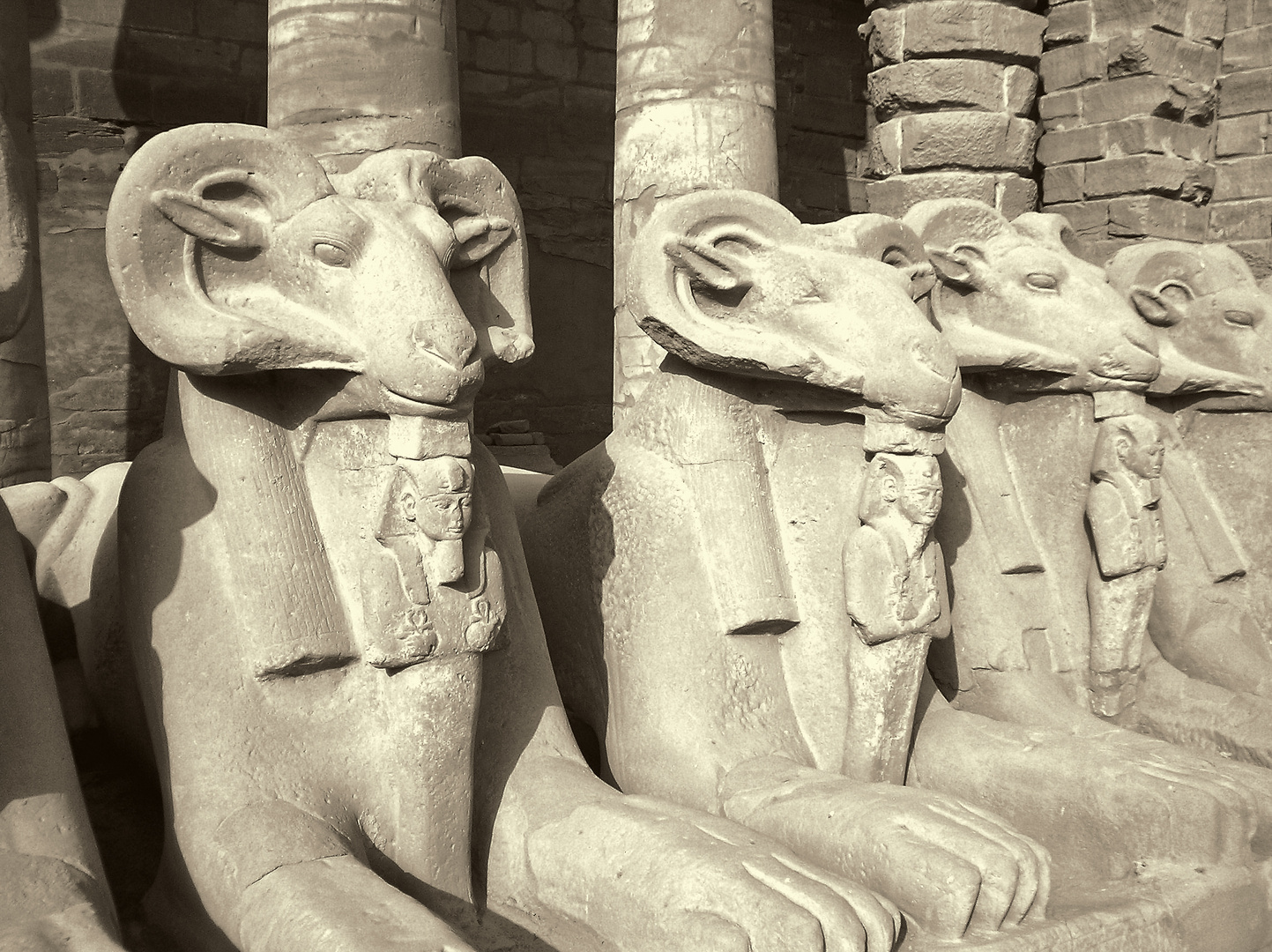 Widdersphingen vor dem Karnak-Tempel