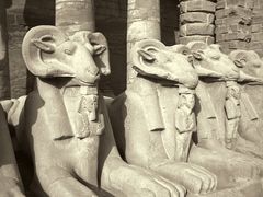 Widdersphingen vor dem Karnak-Tempel