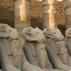 Widdersphynxallee von Karnak