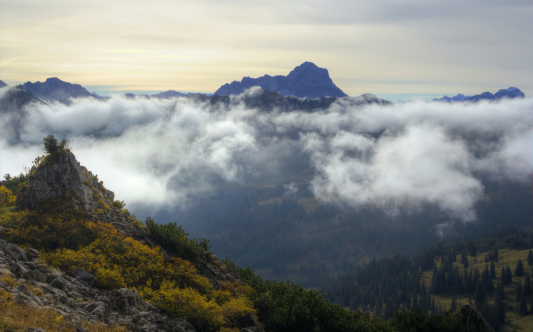 Widderstein im Blick