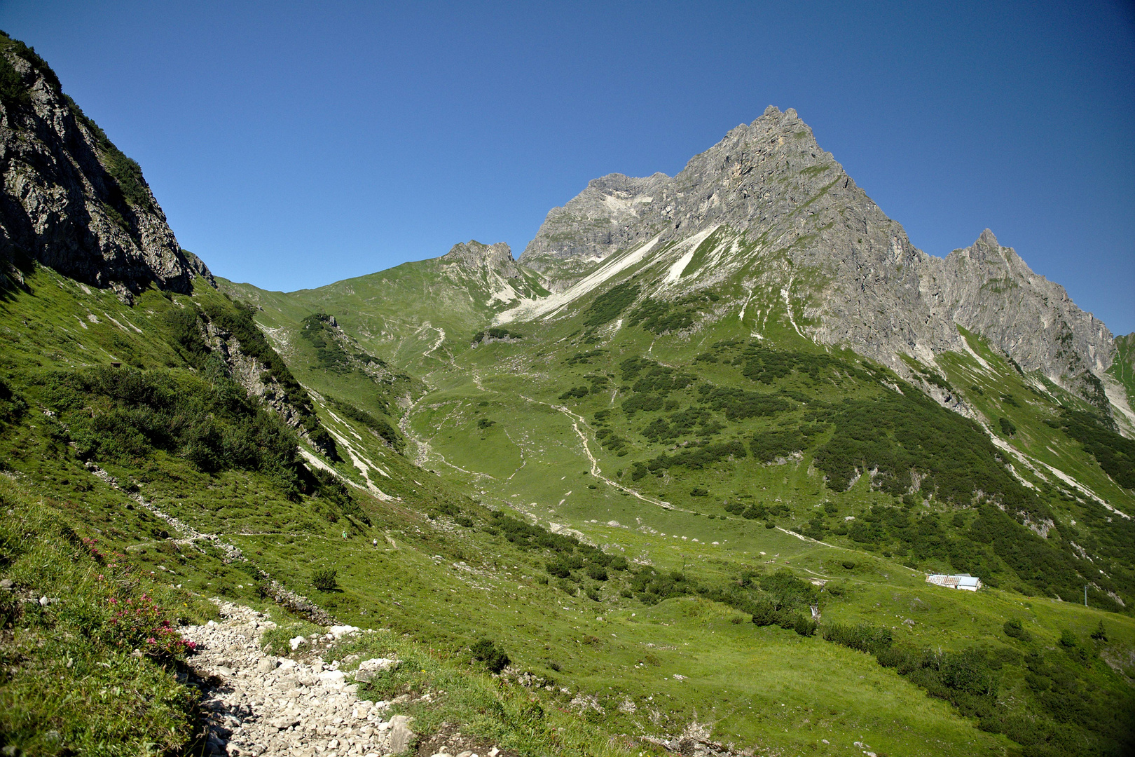 Widderstein über dem Gemsteltal