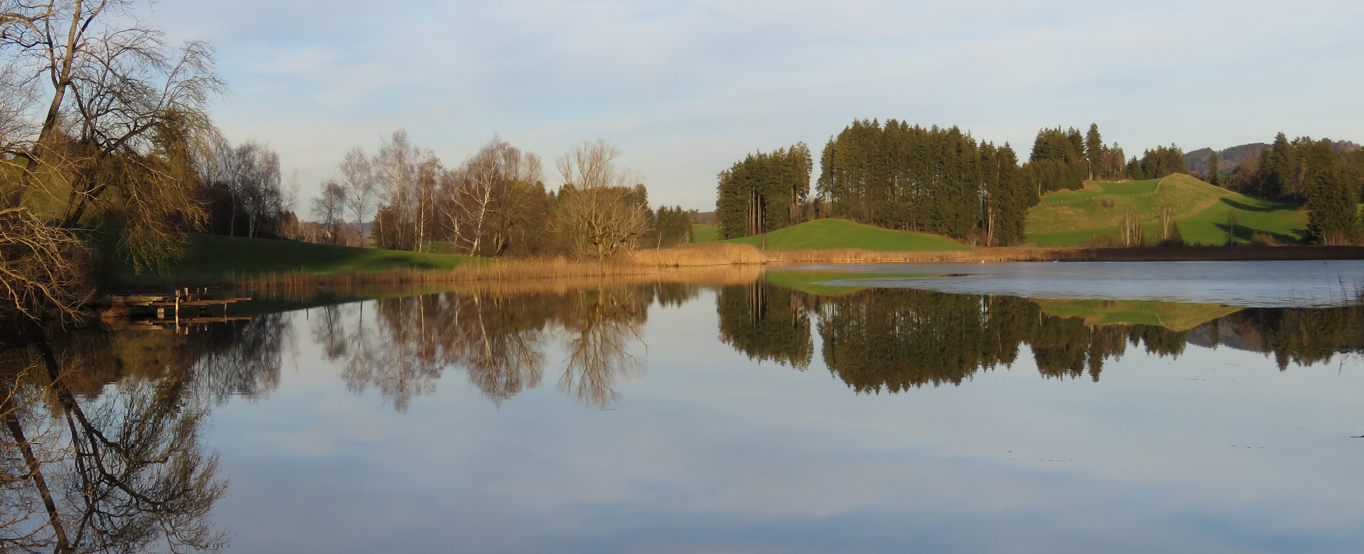 Widdumer Weiher