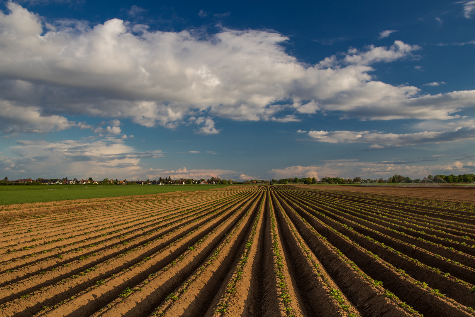 Wide open fields