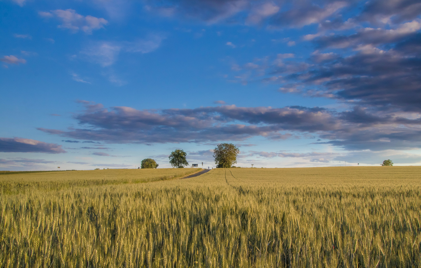 Wide open fields