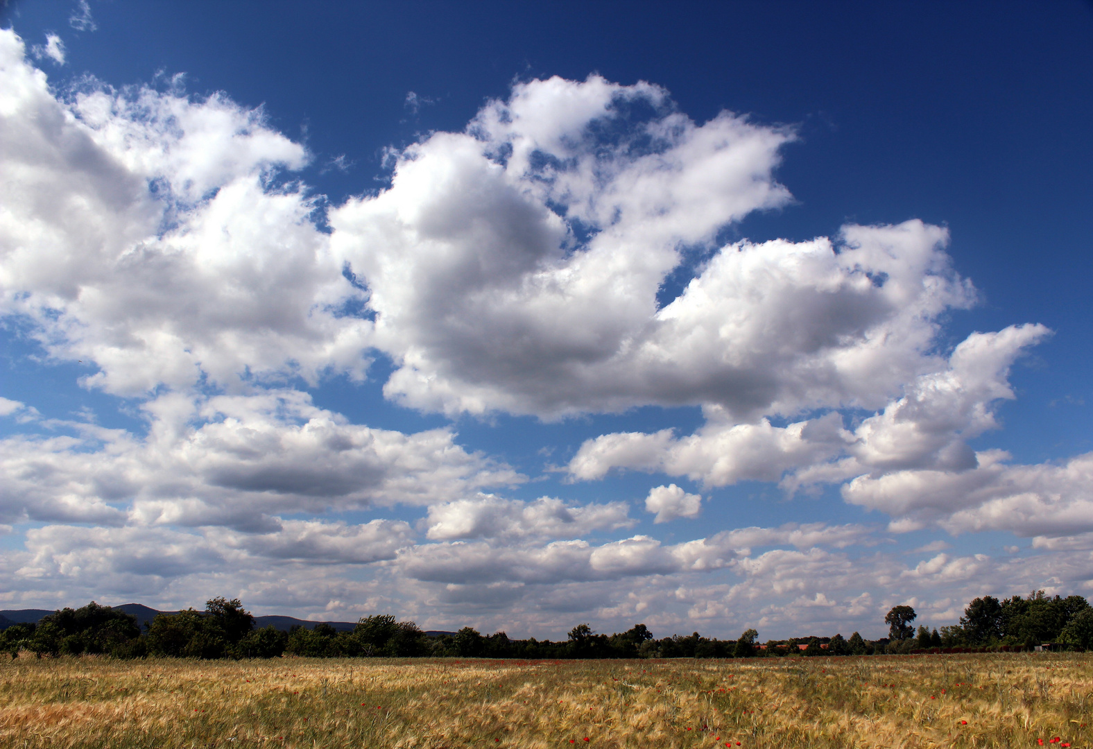 Wide open range