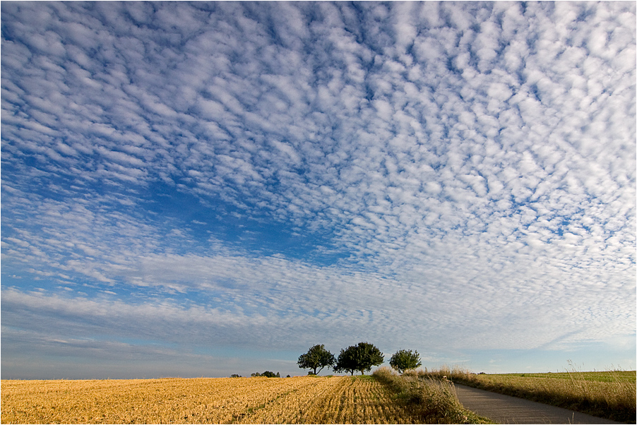 ..wide sky..