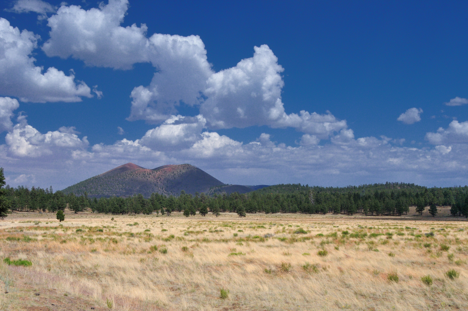 wide, wide Arizona