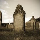 Widecombe in the Moor - Dartmoor Nationalpark