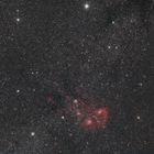 Widefield Auriga mit IC405