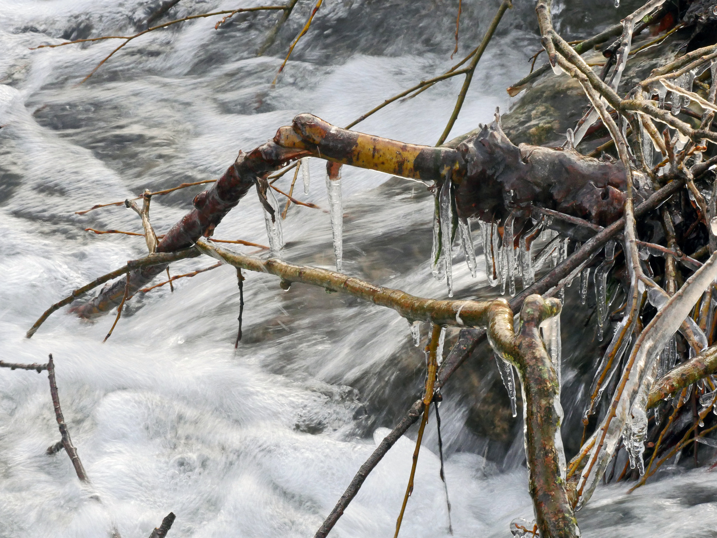 Widersprüche: Stilleben im Fluss