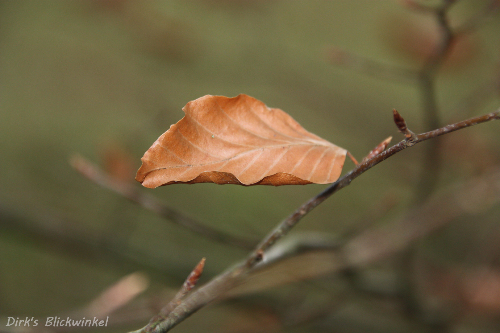 Widerstand