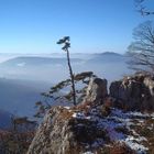 widerstand und weitblick
