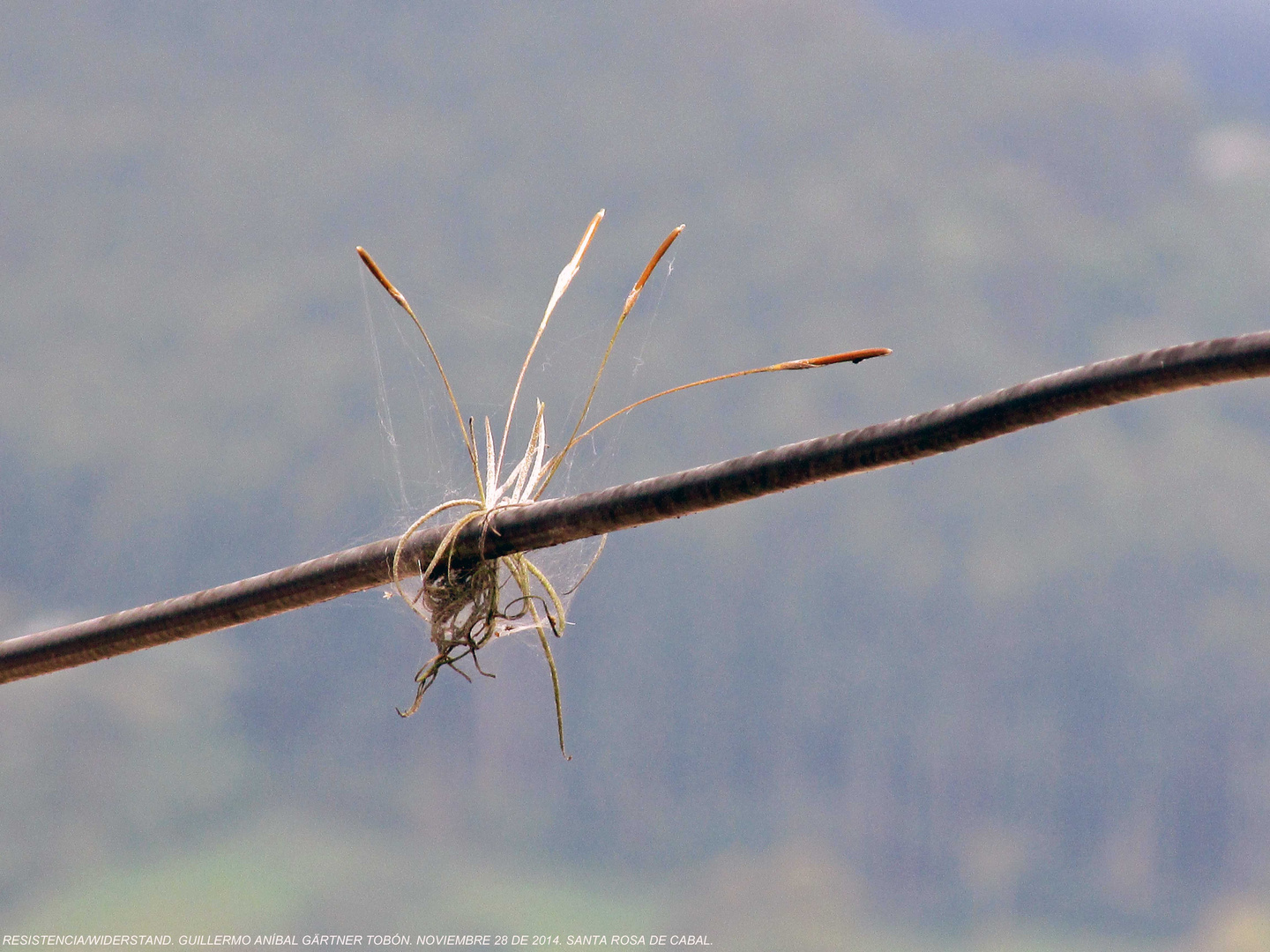 Widerstand/Resistencia