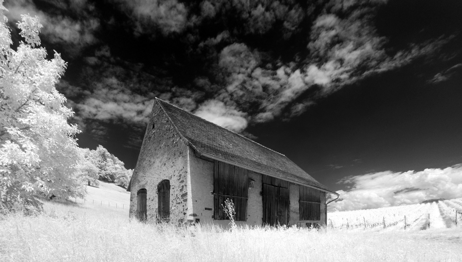 Widumstall [IR]