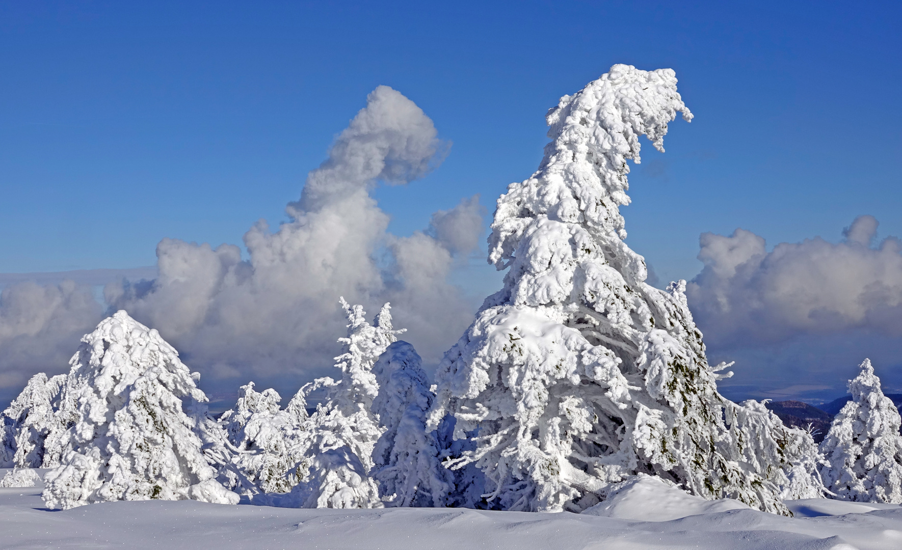 Wie am Himmel so auf dem Brocken...