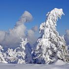 Wie am Himmel so auf dem Brocken...