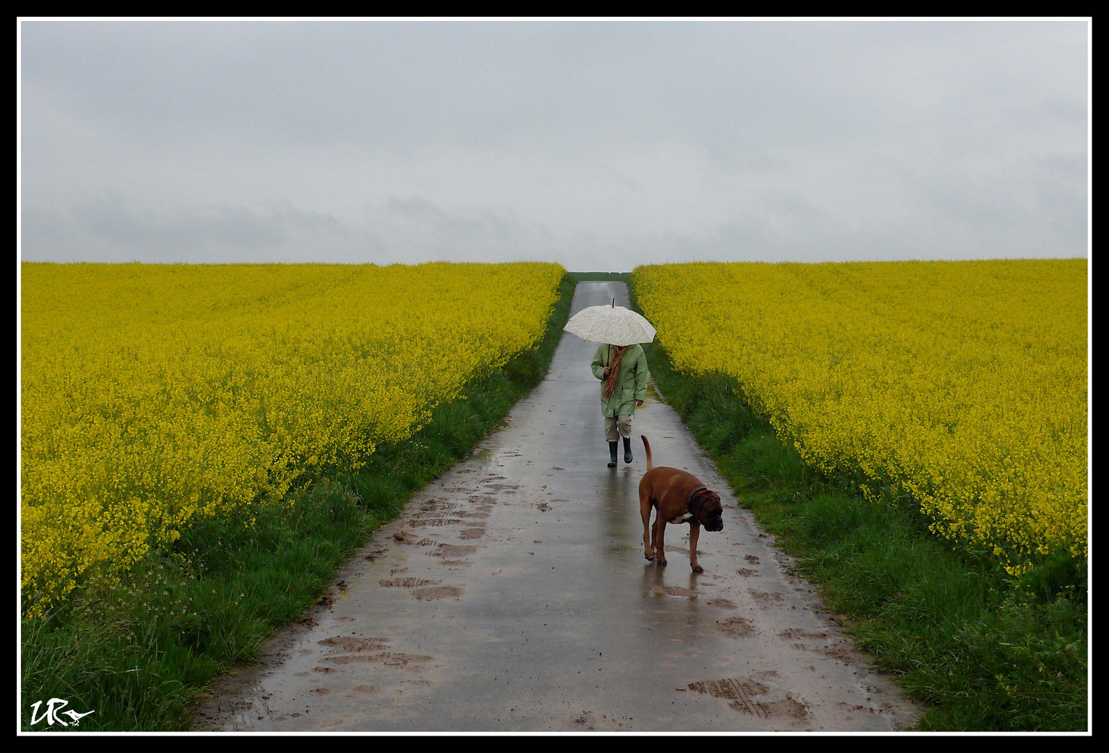 …wie „Aprilwetter“ im Mai !