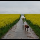 …wie „Aprilwetter“ im Mai !