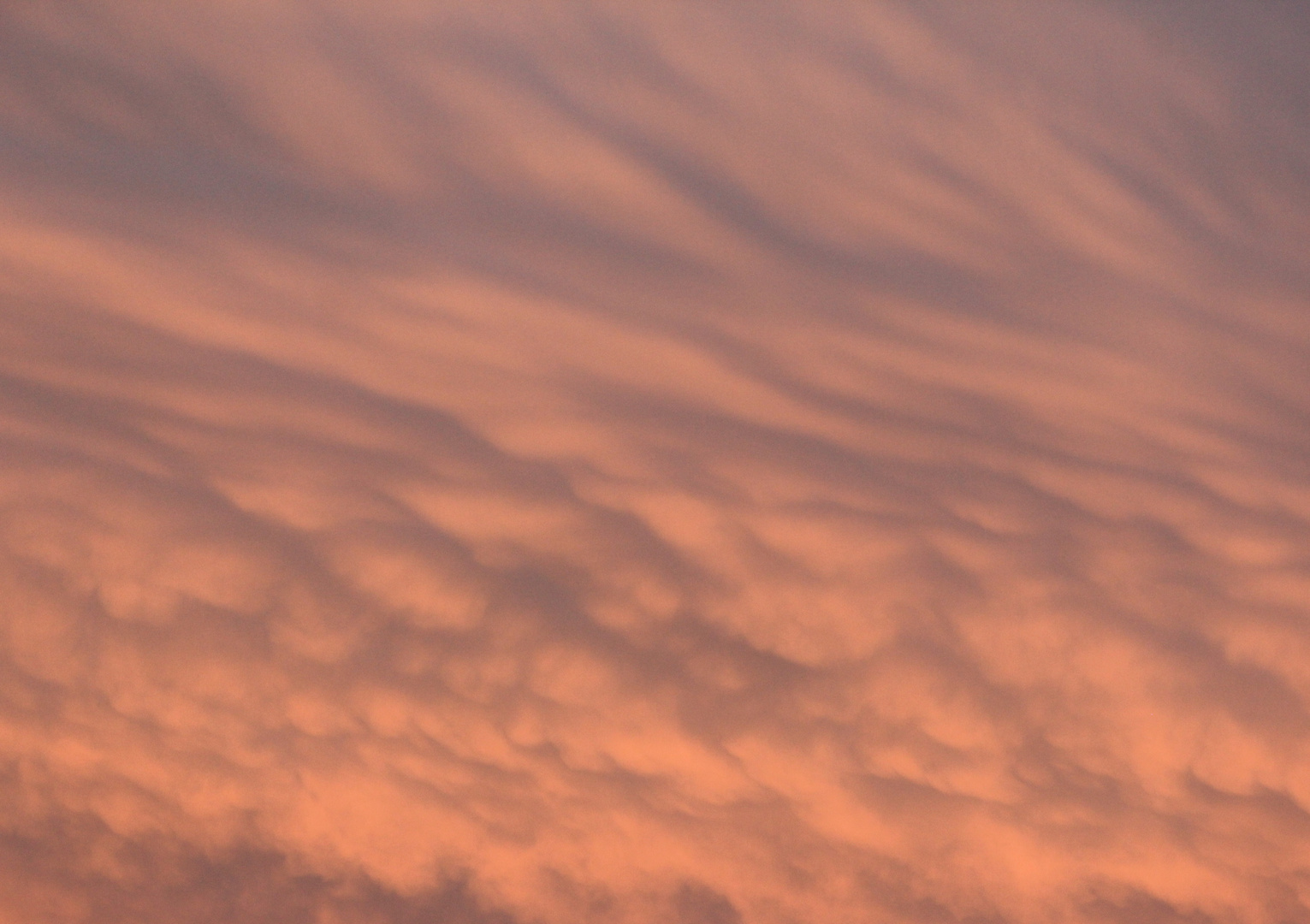 Wie auf Wolken 