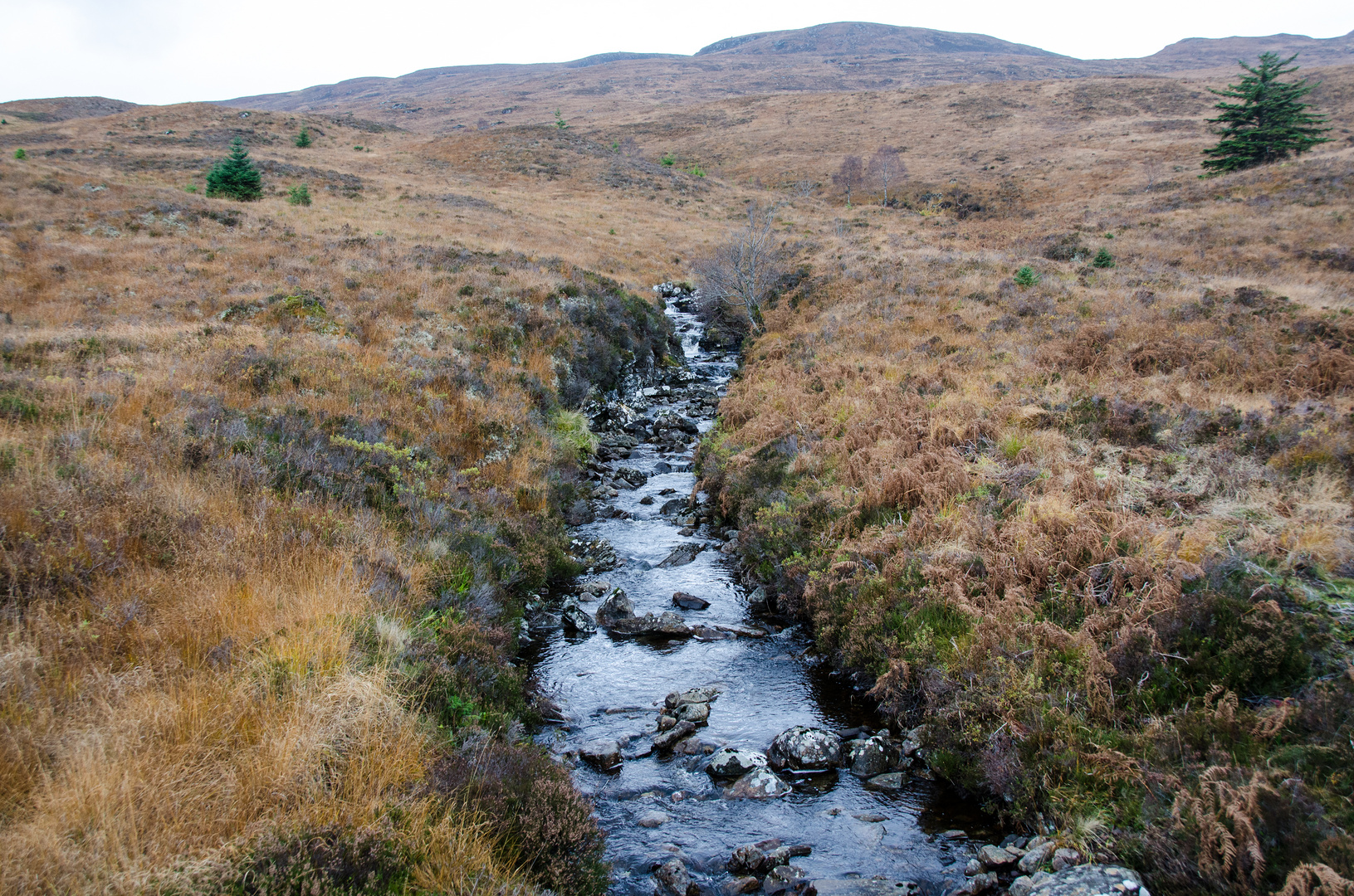 Wie aus Blei. Ein Bach am Great Glenn Way oberhalb des Loch Ness.