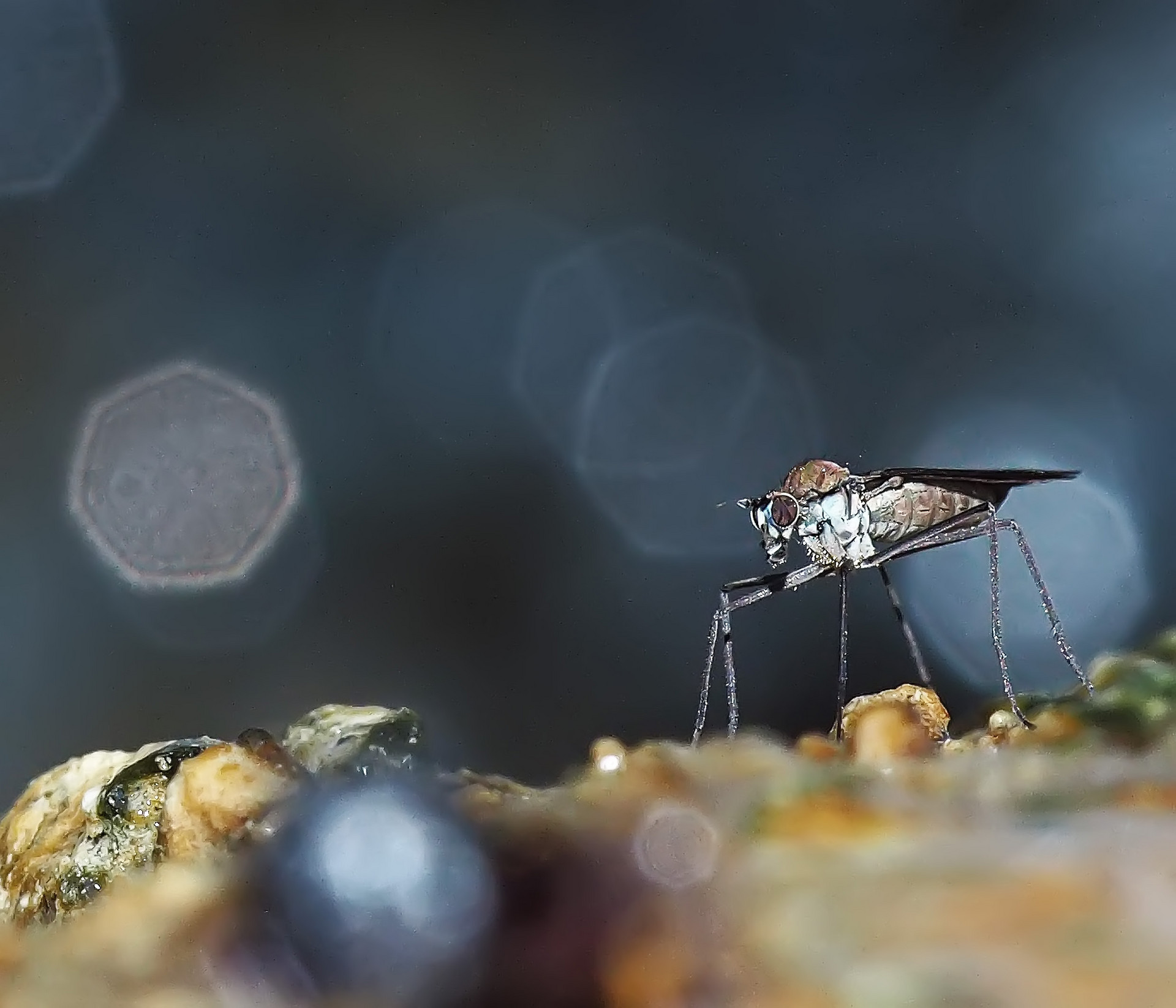 Wie aus einer anderen Welt! 