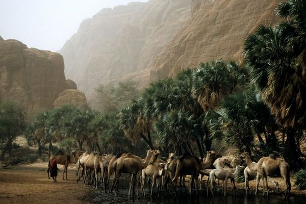 Wie aus einer anderen Zeit