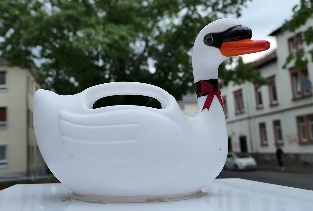 Wie aus einer „Little Ente“ ein Plastik – Schwan wurde