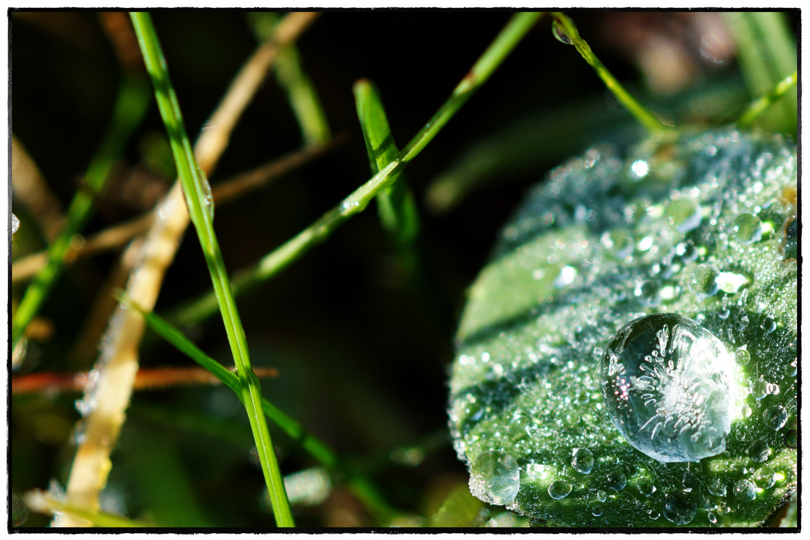 ***wie aus glas***