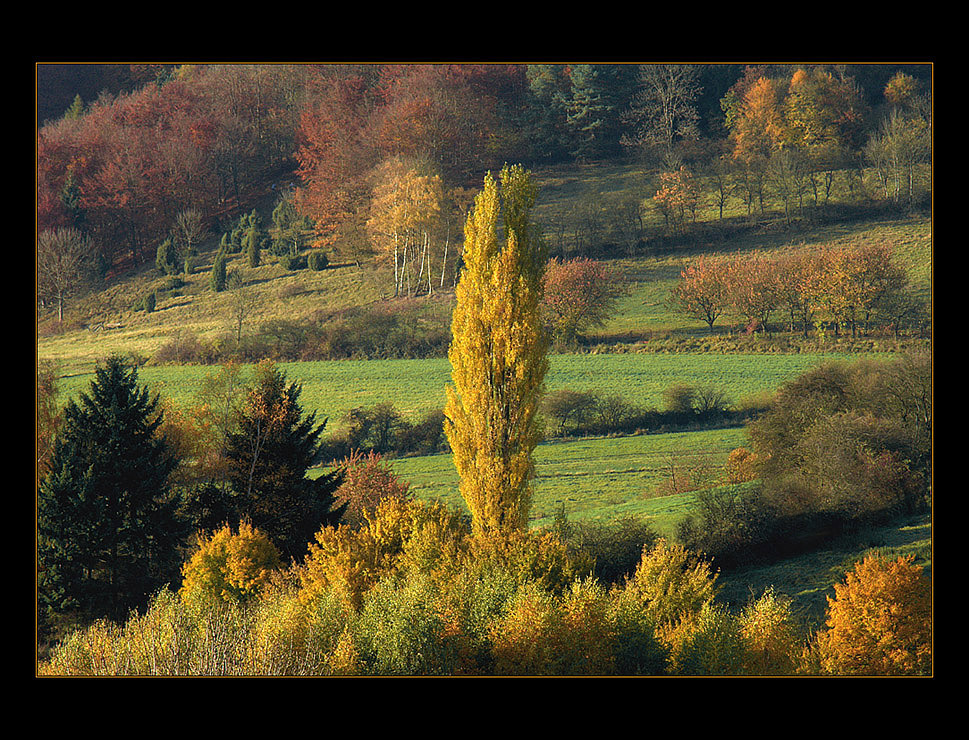 ...wie Bäume eine Landschaft prägen... (2. von "Herbst-Landschaft- Kompositionen")