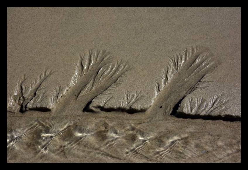 Wie Bäume im Wind . . .