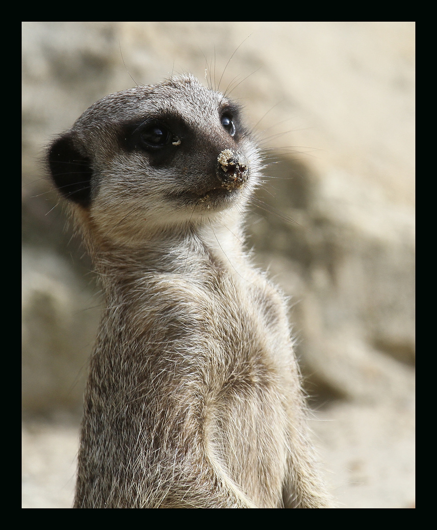 wie bekomme ich den Sand von der Nase?