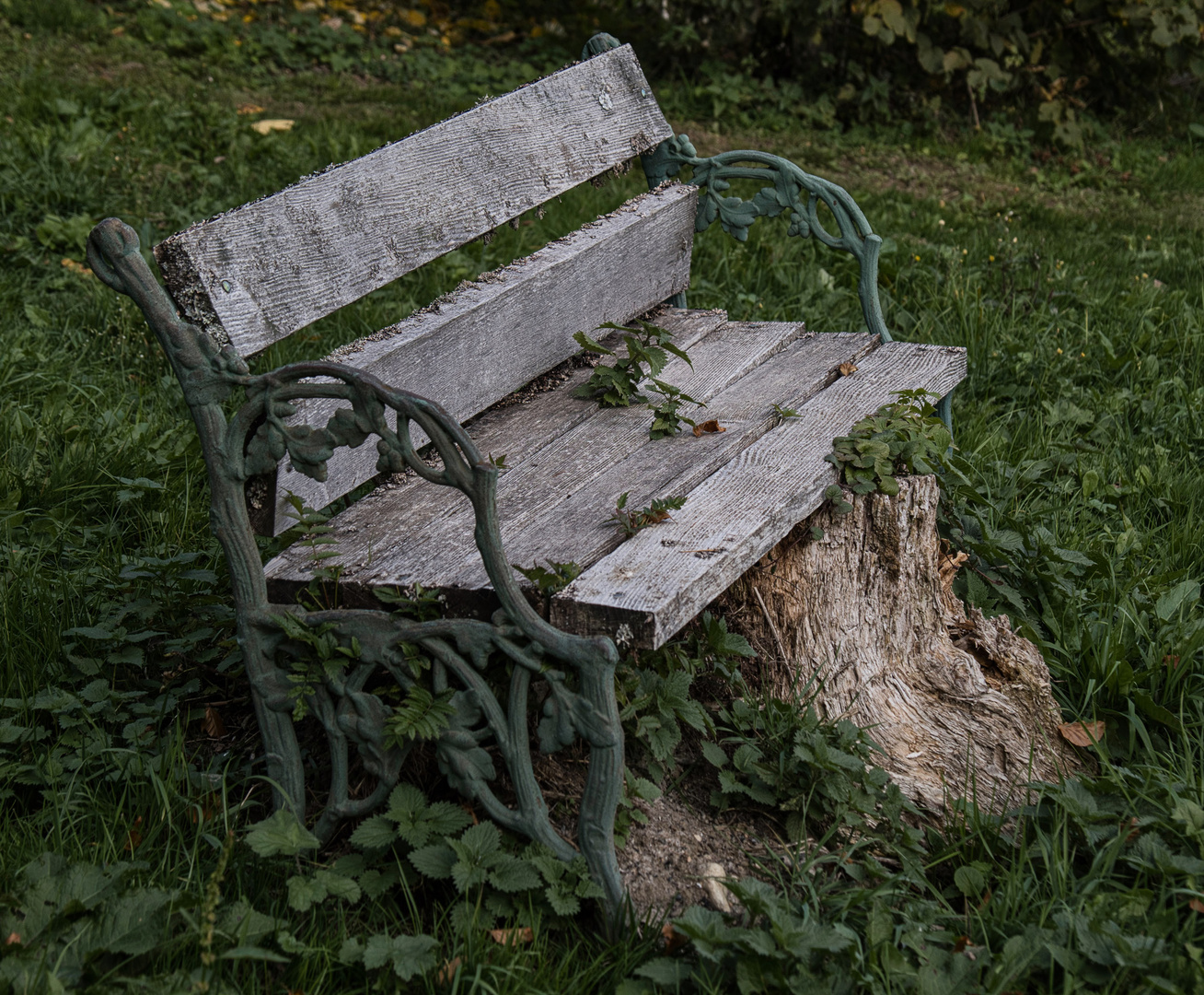 Wie bequem ist da wohl das Sitzen?