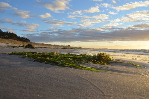 Wie Casper David Friedrich auf Hiddensee