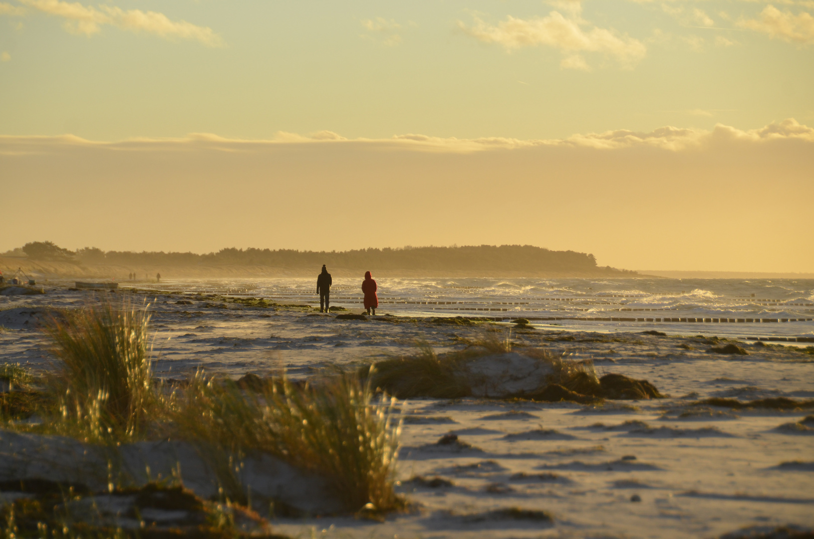 Wie Casper David Friedrich auf Hiddensee 