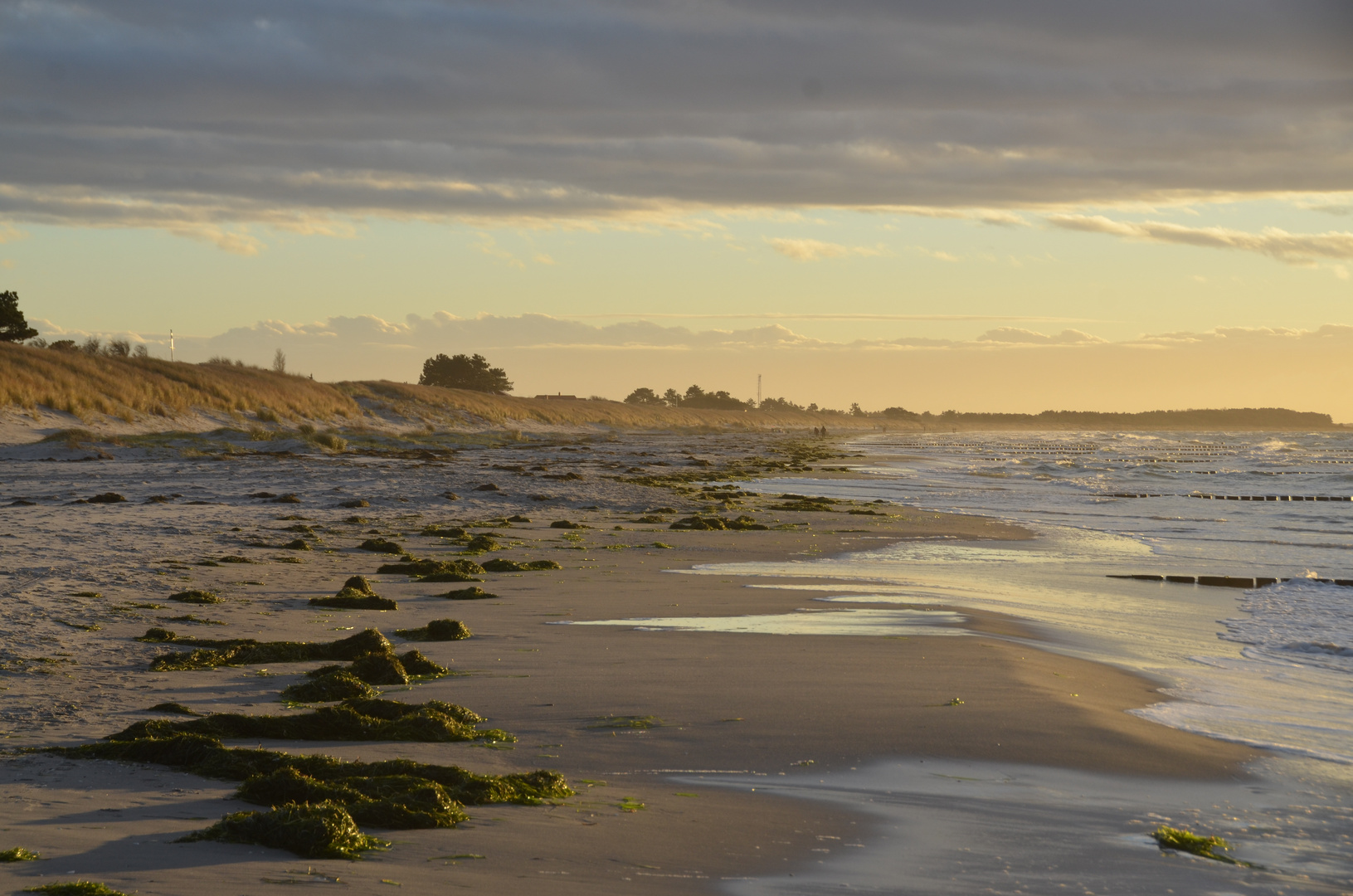 Wie Casper David Friedrich auf Hiddensee 