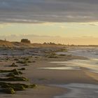 Wie Casper David Friedrich auf Hiddensee 