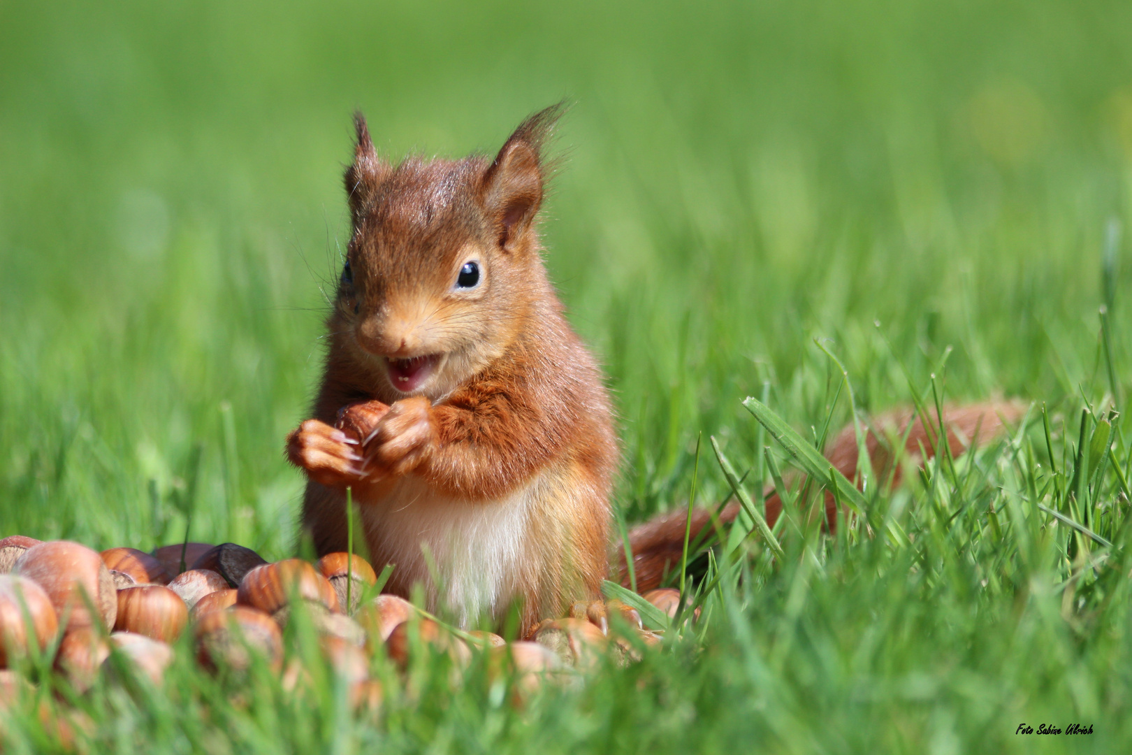 Wie cool ist das denn..., meine erste Nuss ;-) Ist die lecker!!!