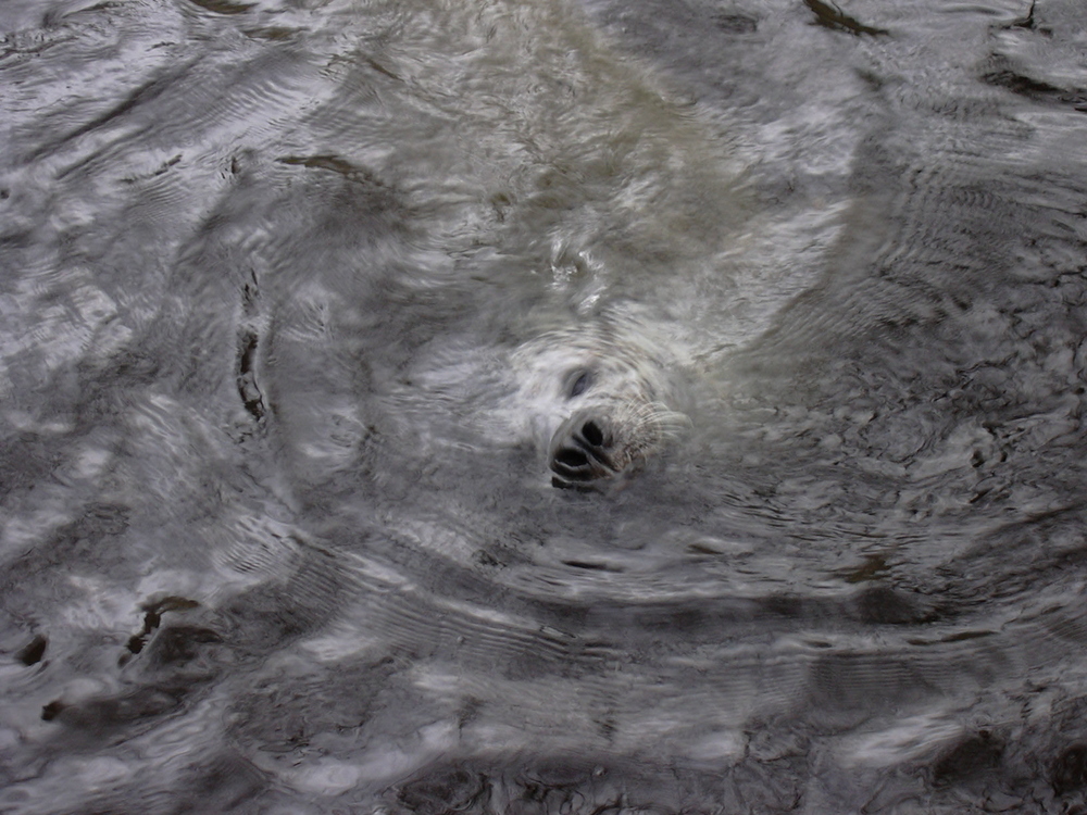 ...wie das Wasser heute riecht...