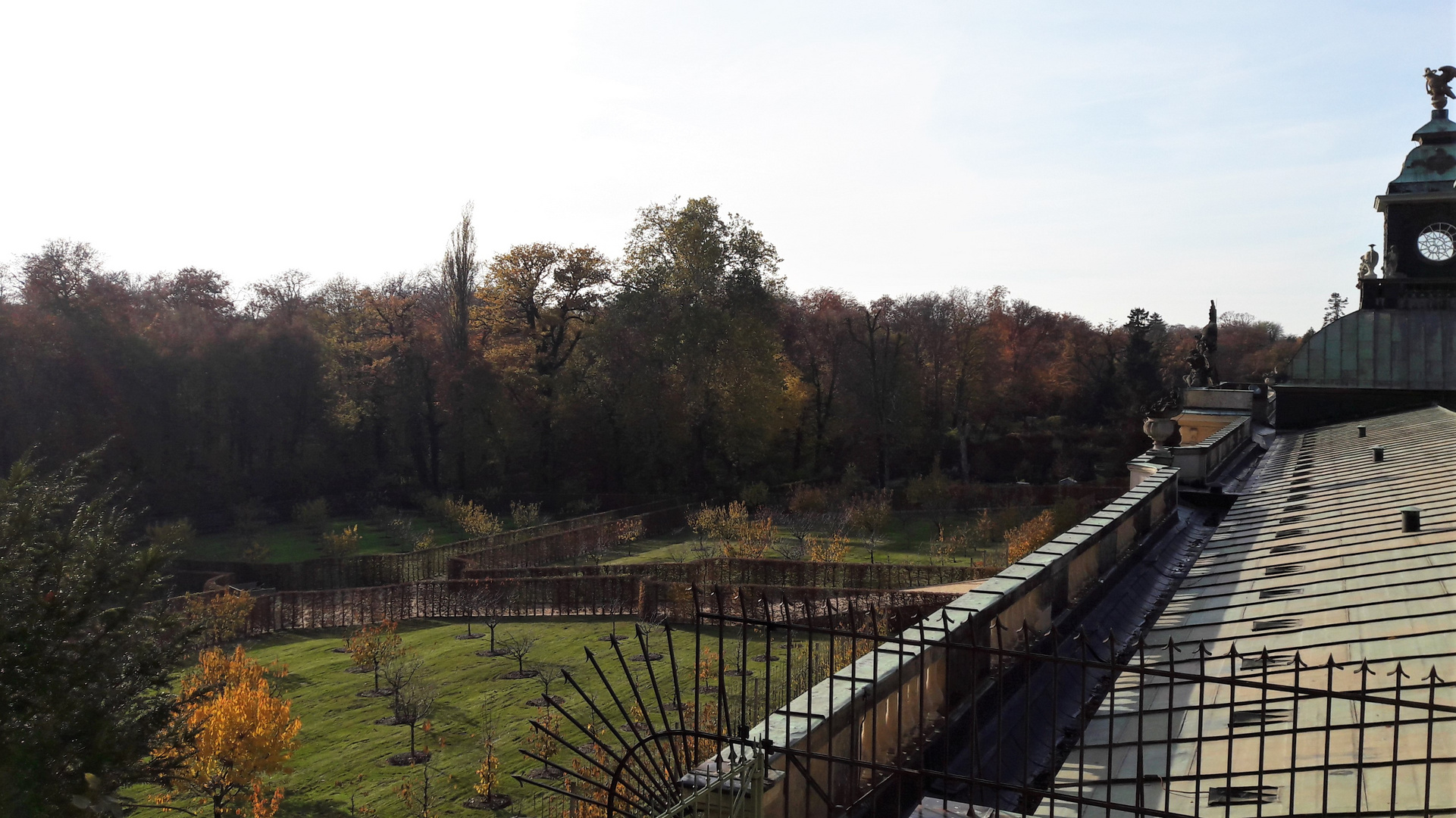 wie dazumal 14.11.2019 Potsdam Schlosspark Sanssouci 
