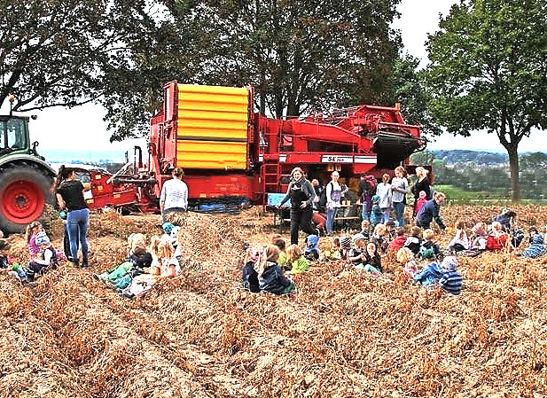 wie Dazumal  auf dem Stoppelfeld