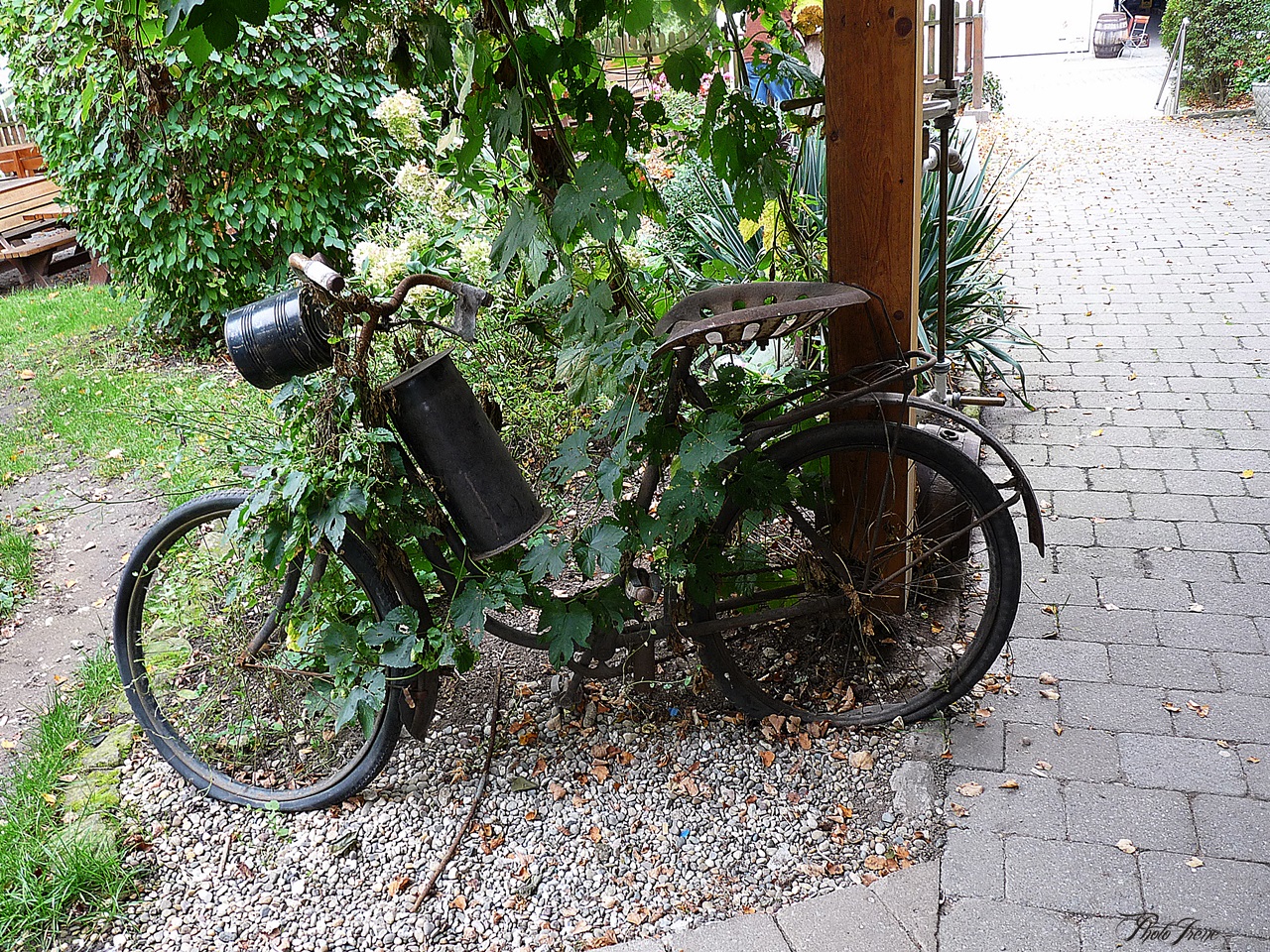  Wie Dazumal -Fahrrad