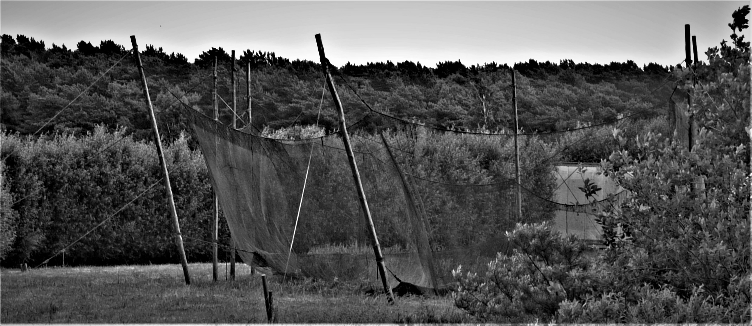 Wie dazumal - Fischernetze bei Thiessow 