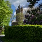 Wie dazumal im Frühling ... / Wilhelmsturm