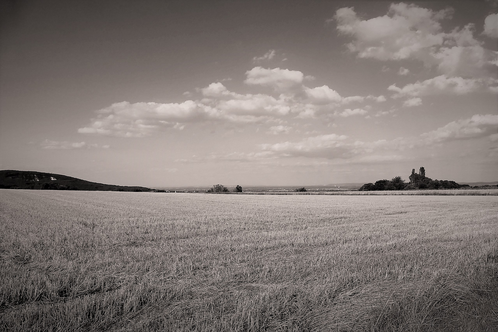 Wie dazumal im Herbst