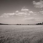 Wie dazumal im Herbst