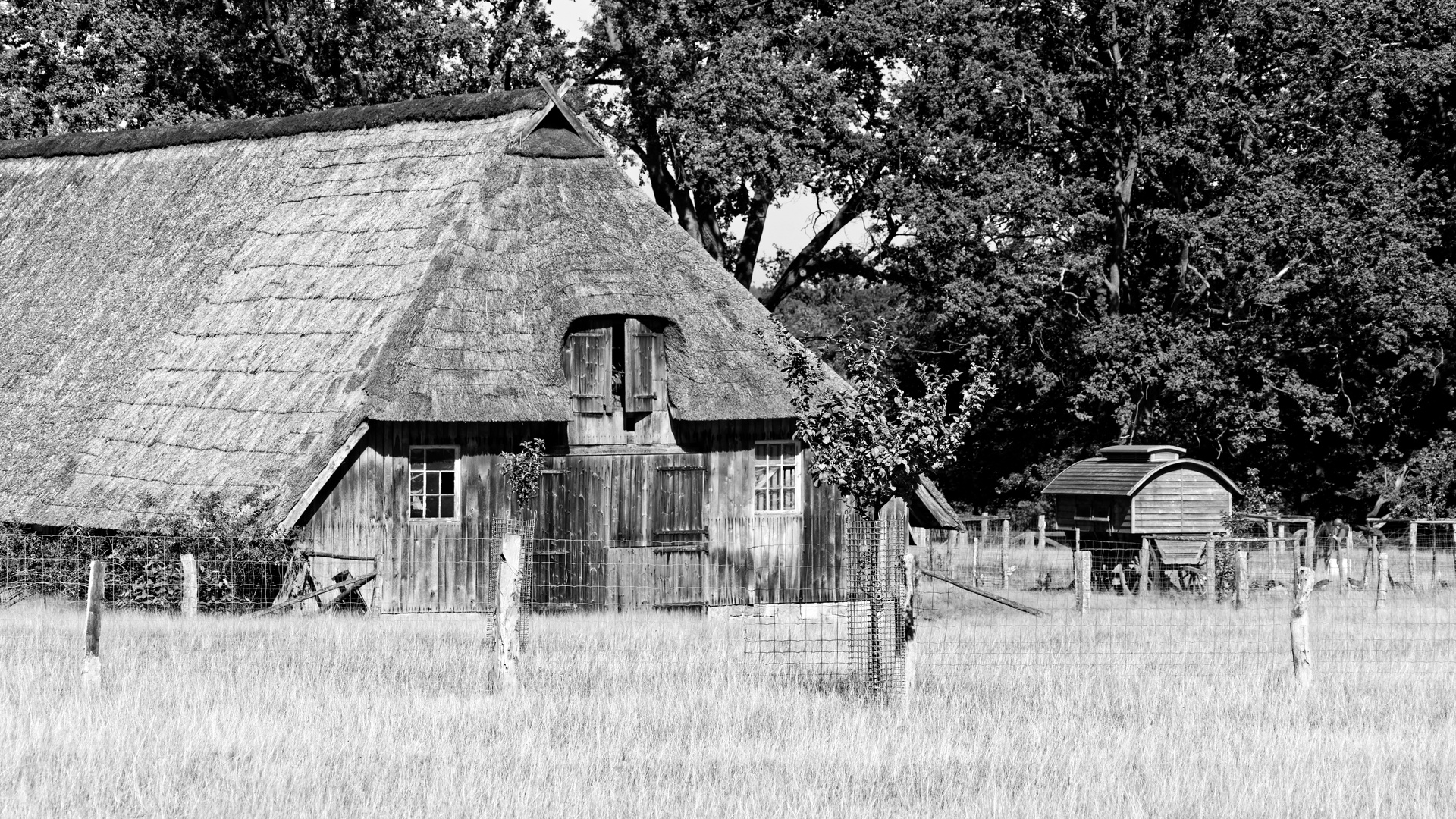 wie dazumal in der Lüneburger Heide